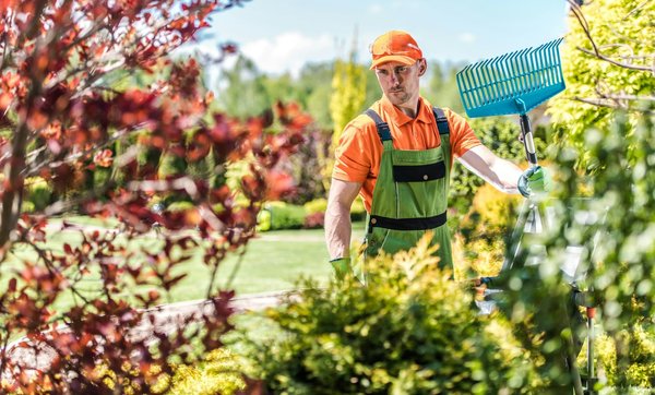 Jardinage durable : techniques et tendances actuelles